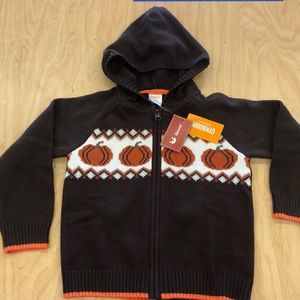 Nwt harvest hoodie pumpkin fall sweater 3t rare Gymboree